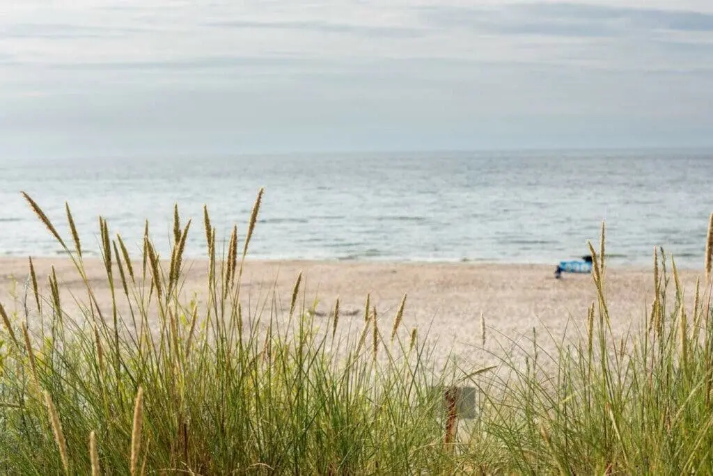 70594 215307 n27y6l7keol3Vh1JP4bPJnCONXhctkcfENKoHhX2gHs 655f6fe7a0ac5.jpg