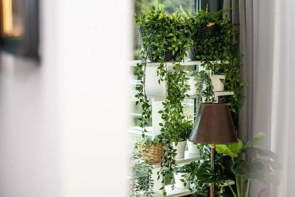 70594 215308 9thxqBIG XaHVfxvPd0Pl y92q3DA5wKwwv Ewrtfc 655f701a81ddc.jpg