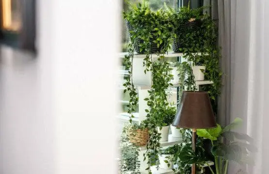 70594 215308 9thxqBIG XaHVfxvPd0Pl y92q3DA5wKwwv Ewrtfc 655f701a81ddc.jpg