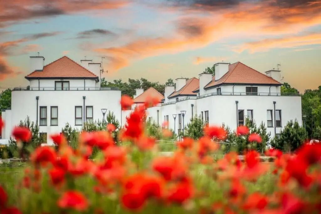 70594 215308 RlOMnw6qrNa3nlTb48Tx F9Q 5Fjs 52I5xyuhY1LJ4 655f702a18a2a.jpg