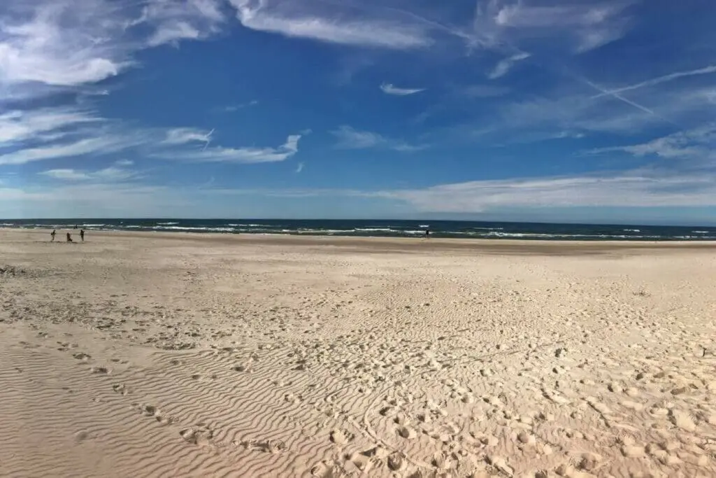 70594 215310 1RcYBIXd1sChnLXQJ EW1PeeP8wu oEsnoBUF3N4pik 655f70e1e6bd6.jpg