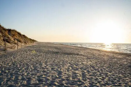 70594 215331 TDIh6 MBODENlSlb7K05V oOSBO80PEYEGEmq1LFxHM 655f7604d9c58.jpg