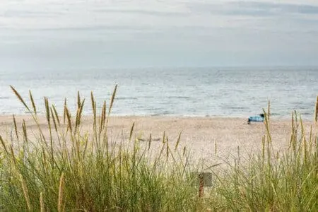 70594 215332 s7fmYXW6plDa GSNRU9ju4jPPpIc5ah45Mtklmsuj54 655f862ad95b6.jpg