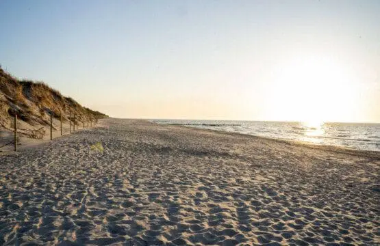 70594 215337 M7jWmAEtml1ecic Fq8Z6hpRhReYmlBZgRFy735DiQc 655f78c382359.jpg