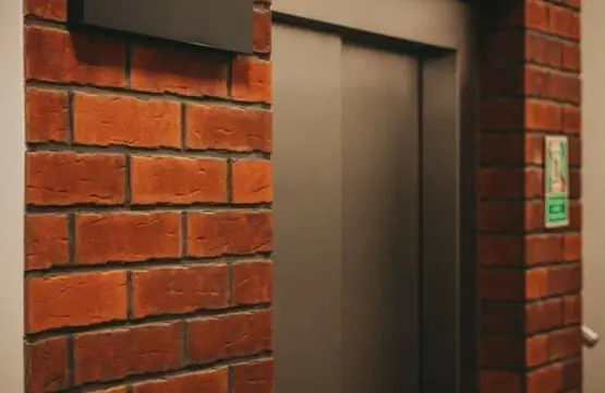 70594 245154 o504x IprthhCoLTnkRduIPlzmtAZd71bMQZe2WVJ0M 65d7b60aa2e54.jpg