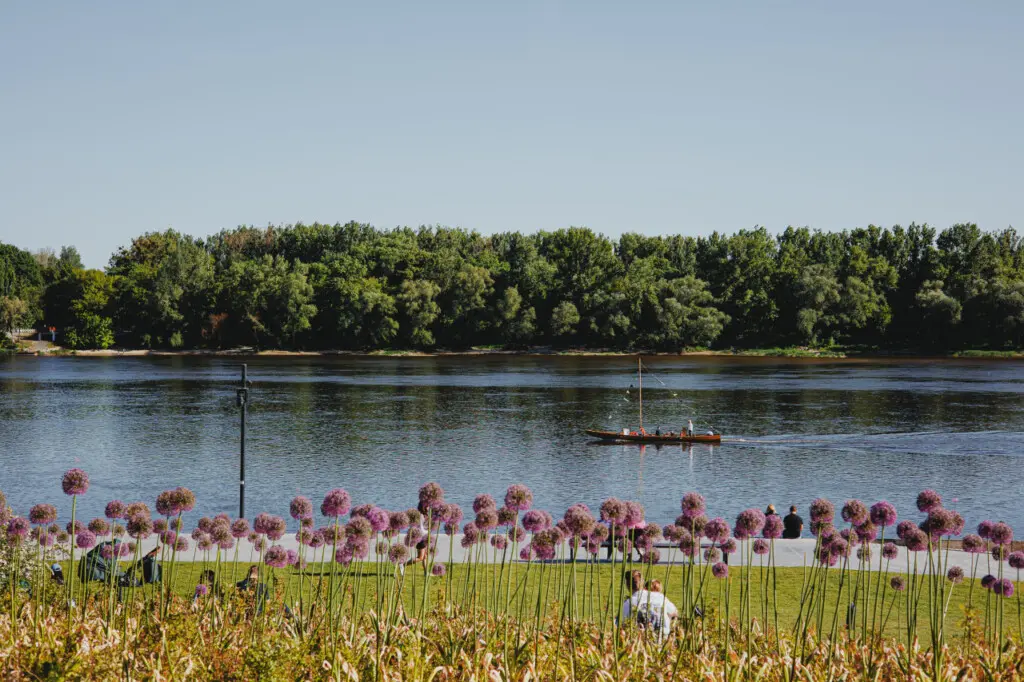 70594 271500 SF7er P2uGHYYoMCHsd4ZaHI09bmcXlSGhYvXjUSIaY 66599e4008080.jpg