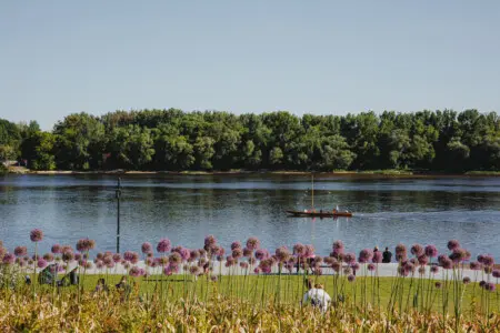 70594 271500 SF7er P2uGHYYoMCHsd4ZaHI09bmcXlSGhYvXjUSIaY 66599e4008080.jpg