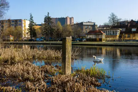 70594 271534 wVXBLk6Z4MCN2QldVpzbk8IzG7FHkV9Zt5TeutQMJX8 6659b90ab9038.jpg