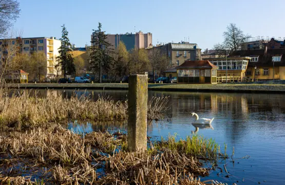 70594 271538 5prJfTc23W4oPPM7l7j NCA5srZgaDLGR qY9l5xIWQ 6659b90e444dd.jpg