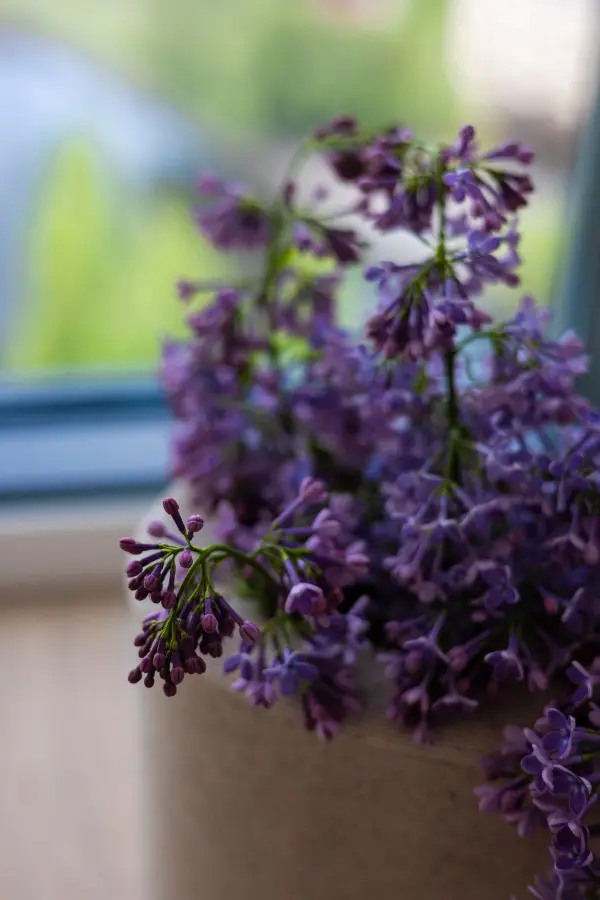 70594 271538 WxHJEb4FAh qDBk 3HkVvWrdE DsEHqZ0ngssZgDXg 6659b8c223107.jpg