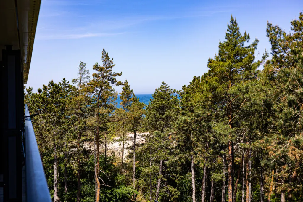 70594 275896 X1s1K0AZ7O5ling3iPDDtFAMK7HsFBgNQrXJ1TJdD7E 6659aa3007fda.jpg