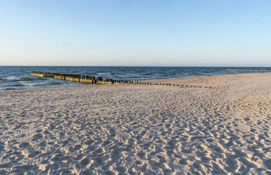 70594 275896 L0EcqMajBHq TWP7fOM 3sPteyTRbp8Da4yaGcwydi4 668aedd212885.jpg