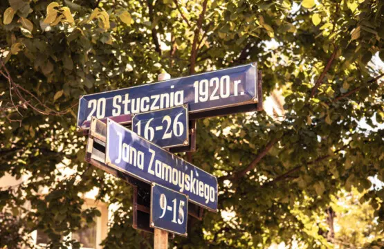 70594 298787 dPcnzjU00Nu7ymSmfEVxEYdl55G53Vhi LJrVV3MGAM 66bb9fd3c6fe0.jpg