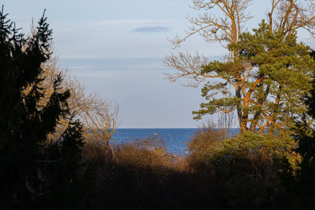 70594 338517 6ZJbhAQlRlVQRv5S0XoOkqHCVvTWHHCjDHu Y2ZKLfc 676f0931ce51e.jpg