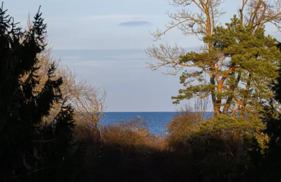 70594 338517 6ZJbhAQlRlVQRv5S0XoOkqHCVvTWHHCjDHu Y2ZKLfc 676f0931ce51e.jpg