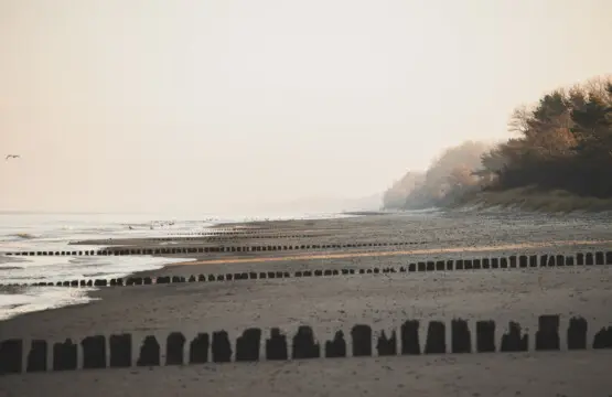 70594 338517 Jqoc6ZyZwiUhyt8ePABNVngokTYThvbUUPdArOjZ98w 676f08fcb97a0.jpg