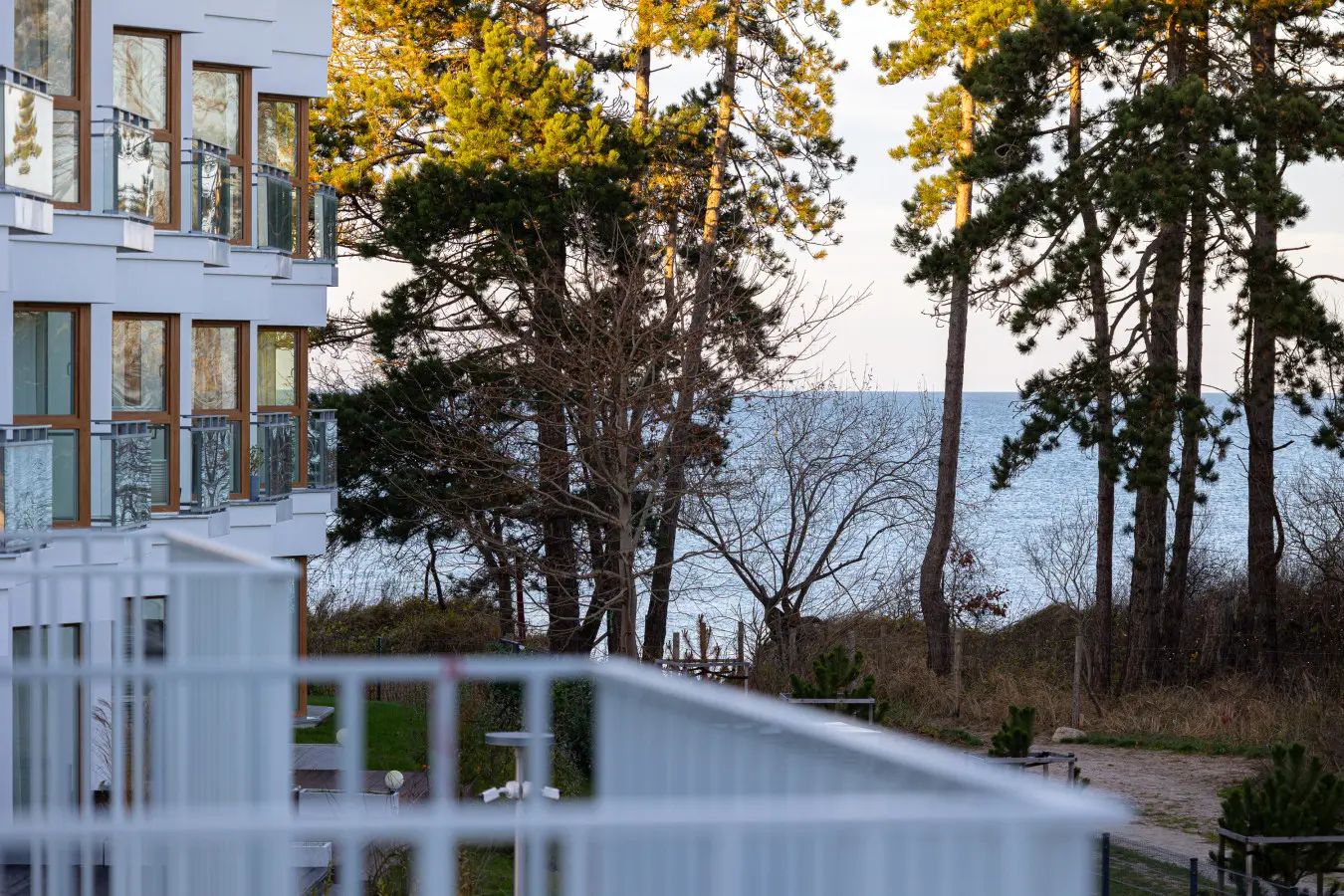 70594 338517 vM14ofmjwtKvC XNv Y3N5 QTeo6bcUOP7fqUdC8Go 676f0874aae72.jpg