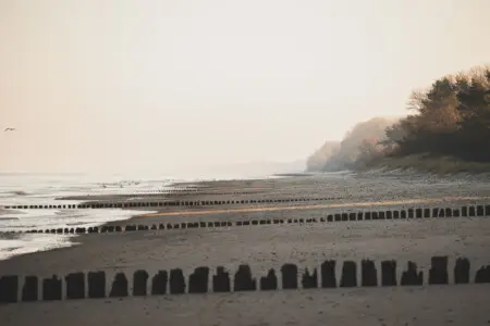 70594 350203 S2ChFaCSkd18QrpUm2QZ0DoldeVoEYjYyv174epEtC8 678827b16c7bc.jpg