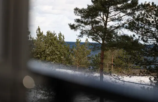 70594 215330 hsL3gT7YrP2GswM7bQj9KtEH3ZUuo2bYp4btmCELMec 67c4ca3773d4f.jpg