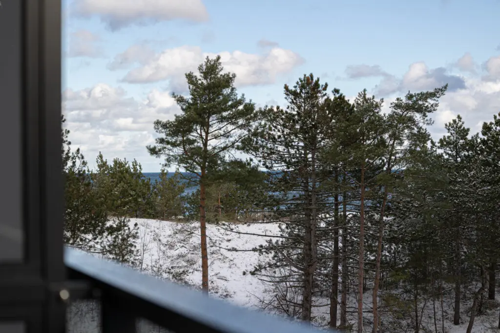 70594 215330 ohagvN4S03UGBltYvU 6H 329VpLqm273Xd iS5RaTQ 67c4ca2a651b1.jpg