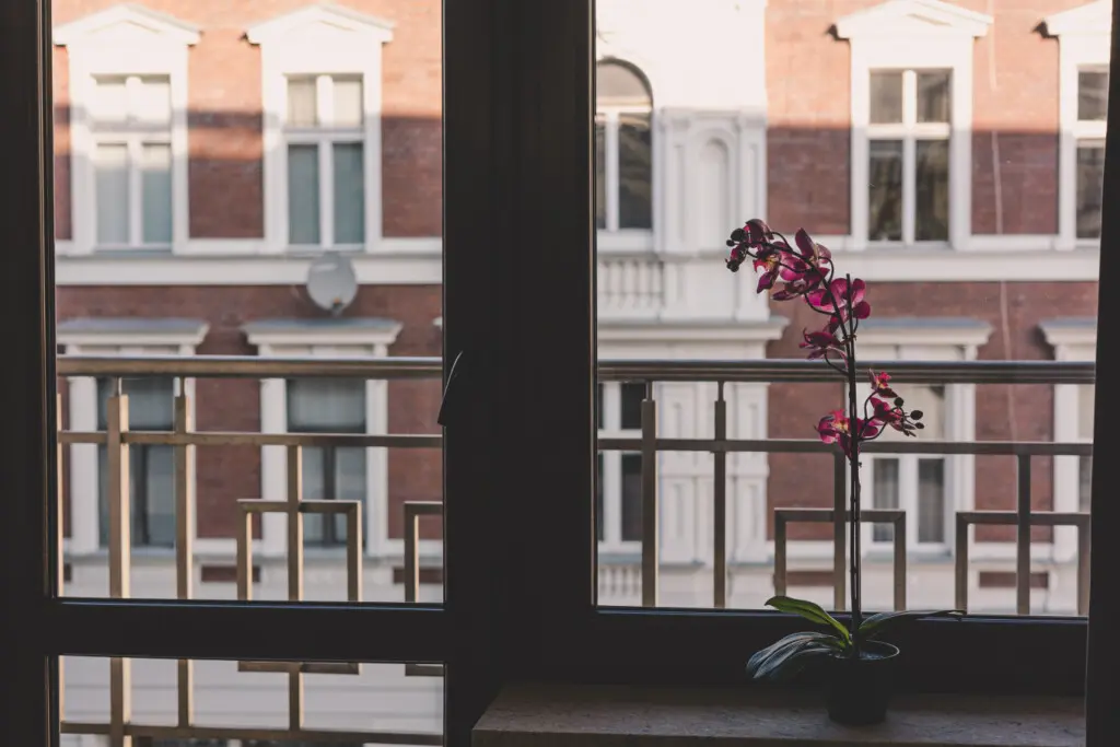 70594 363074 XE53T4soGhPcW7siSv5CymkBr6yKEKCx0m odgvXO30 67c9fddf67bf7.jpg