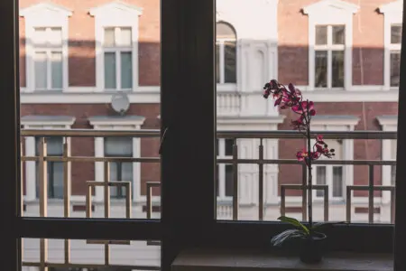 70594 363074 XE53T4soGhPcW7siSv5CymkBr6yKEKCx0m odgvXO30 67c9fddf67bf7.jpg