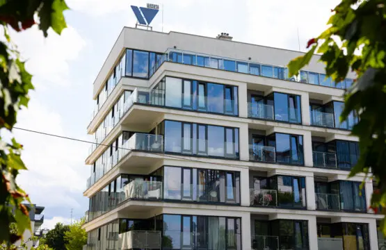 70594 363135 hyNINqus7kkJsbM3 ONkd2Ugrg2 xr3zHHEFE vYLdk 67cf399fc6f94.jpg