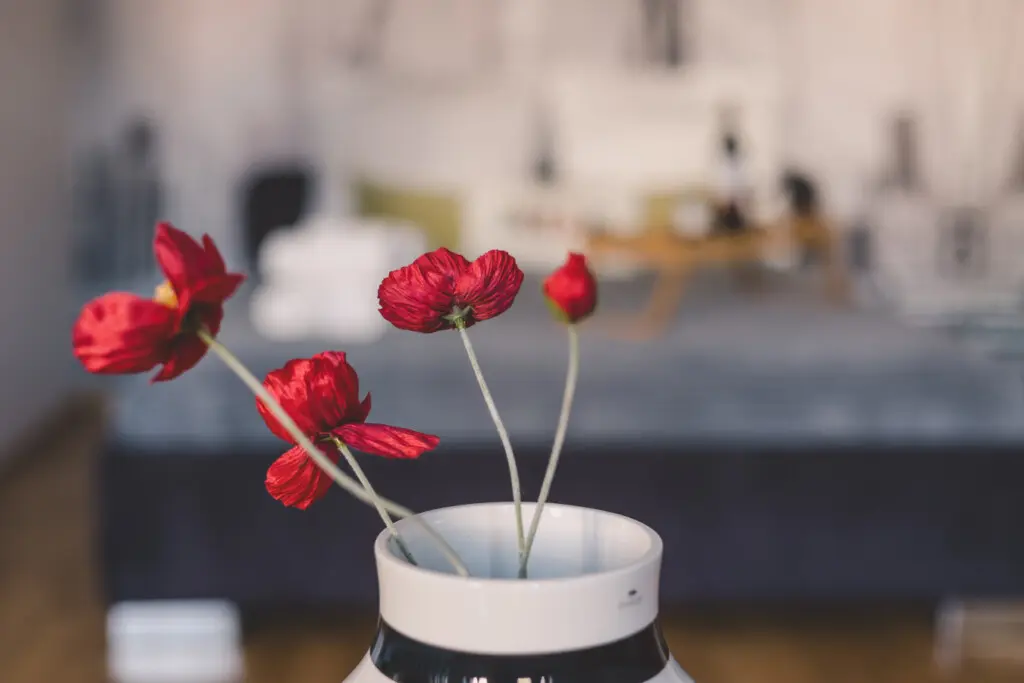 70594 364178 hThuhf ay huiZgH7S1DTVkfNtSyujLdkCWSCO1DB0E 67c9ff687bbec.jpg