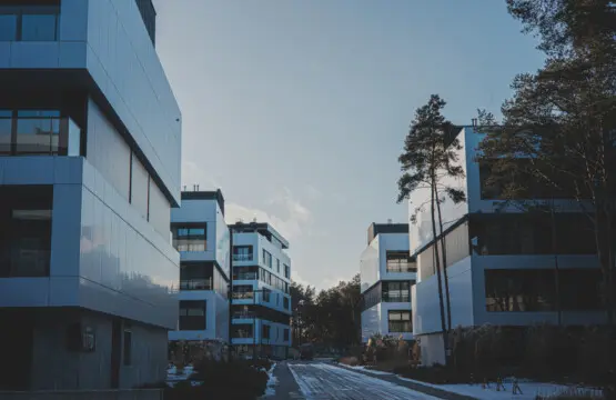 70594 368822 RSQ5S GTngSJrDzxIh4uhD0QaMskLJ9nuYxVYy1ljMg 67d1ef20e3fa1.jpg