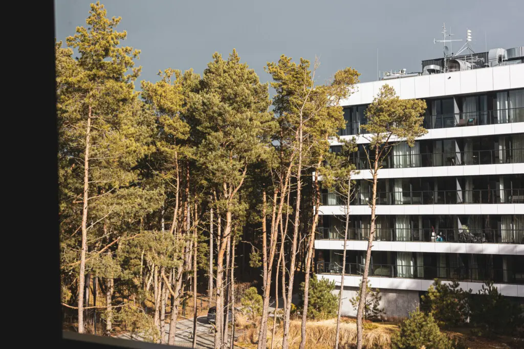 70594 368822 X WHUt VlJym8hcUR1p6YXQPfpH52badxiV70za5wgw 67d1eecb52e90.jpg