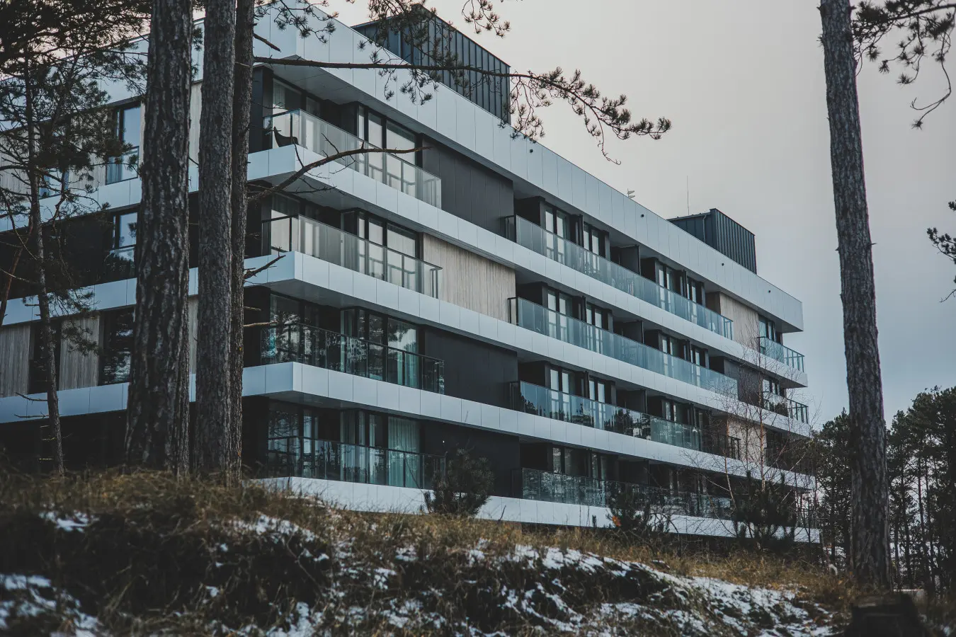 70594 368822 axHTxLpgoa2eMAYiccNfHmVq4NydrXGjgs SoPb8Dj4 67d1ef3099e58.jpg