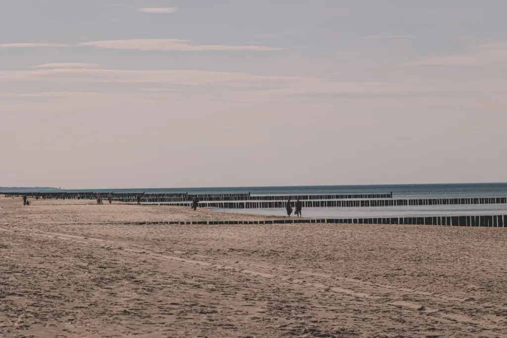 70594 384353 aiOc4vxoK3uxIfbartxB 8Uy4LUZMeLLCaEIFdU0TQ0 680b6ac60d063.jpg