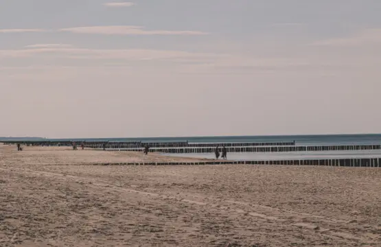 70594 384353 aiOc4vxoK3uxIfbartxB 8Uy4LUZMeLLCaEIFdU0TQ0 680b6ac60d063.jpg