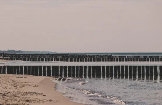 70594 384353 j5KyU8sZ70Is3Hnas bygfo6xZvsbtk6fDlaMDEWB w 680b6a9f6b0eb.jpg