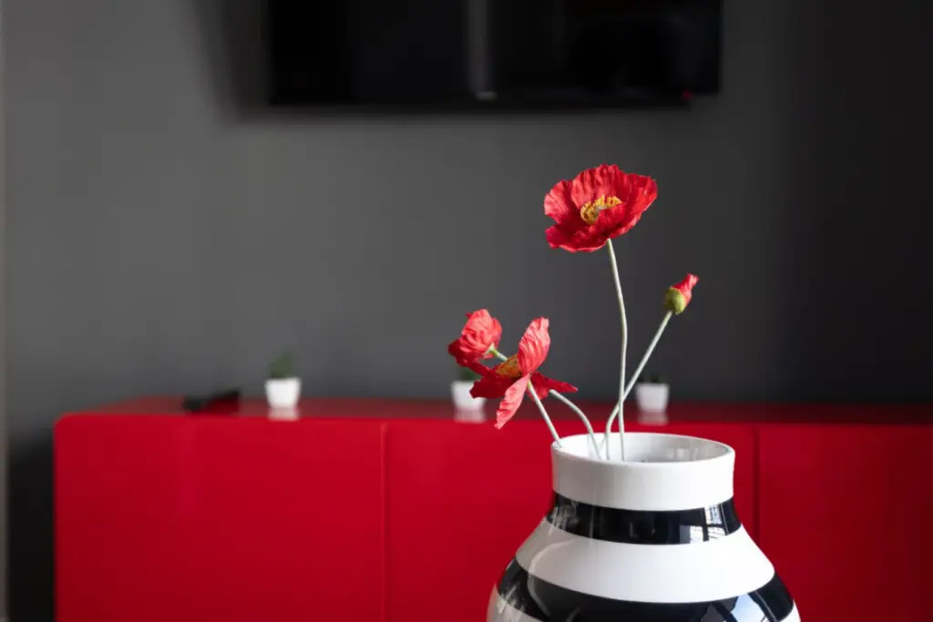 70594 376065 EWAEg6THvkLjmXOacG2thxv18X8Fd6z kmIPJXWShl0 682f18837d282.jpg