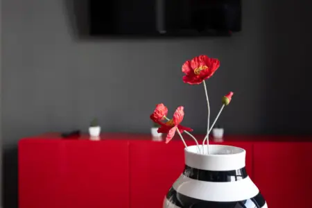 70594 376065 EWAEg6THvkLjmXOacG2thxv18X8Fd6z kmIPJXWShl0 682f18837d282.jpg