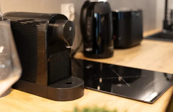 70594 387179 WkN1gsSPutQTr 2KC8cZazRpPXzBneR6eJEHn Glzns 682f8276e0083.jpg