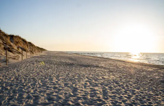 70594 397088 GKeDsafvkbN6g7o9IFKXUp7FOLyJcQnpBv7 T97SZ3o 683f4500bf8e4.jpg