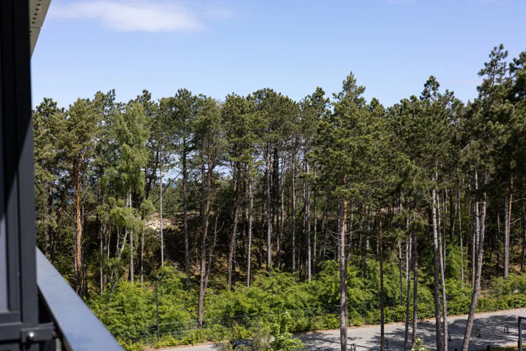 70594 397088 qy6d40ptTK8 Kdx3LcTmmix3M50 OpmMMecCH7y ZkY 683f44d38f947.jpg