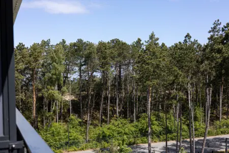 70594 397088 qy6d40ptTK8 Kdx3LcTmmix3M50 OpmMMecCH7y ZkY 683f44d38f947.jpg