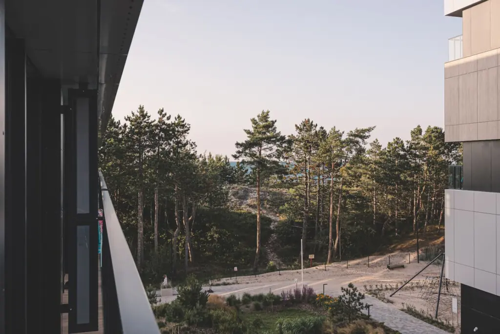 70594 417796 aa9N gBc f2ZNXN0S3IG5D6P5iSykzy3zCE 2 8J6M 6888a40cb5391.jpg