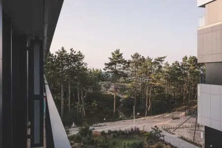 70594 417796 aa9N gBc f2ZNXN0S3IG5D6P5iSykzy3zCE 2 8J6M 6888a40cb5391.jpg