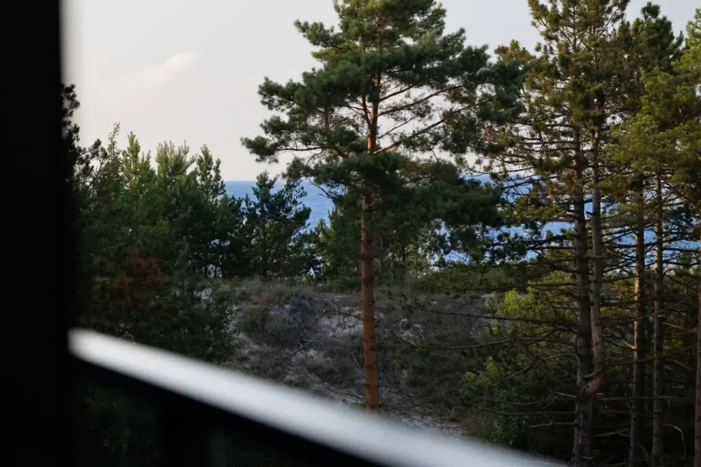 70594 417796 uGjKwsfB JG 13tP3hWB5xd2BUBGiWHSvvRMa7NSs I 6888b2388f651.jpg