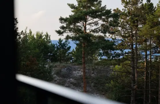 70594 417796 uGjKwsfB JG 13tP3hWB5xd2BUBGiWHSvvRMa7NSs I 6888b2388f651.jpg