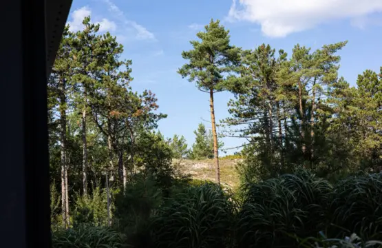 70594 433623 xZtDsNben3X2eAU c5RSUMETEIW6S aUS0VsDxuf7NM 68c9b94d113d0.jpg