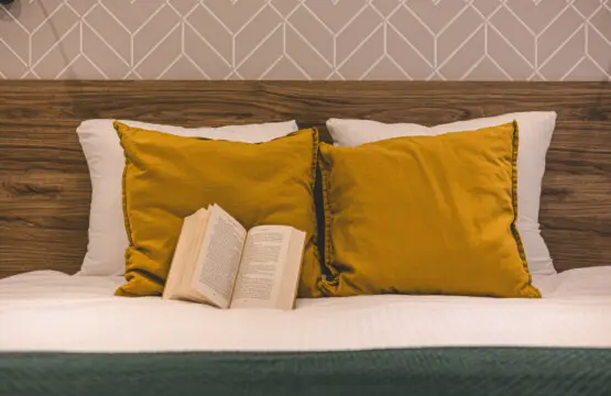 70594 445976 hkxquDCq5PdRzVWH5aB FcIJDHFdzmnLvC lLGkoPP0 690373fa8ad76.jpg