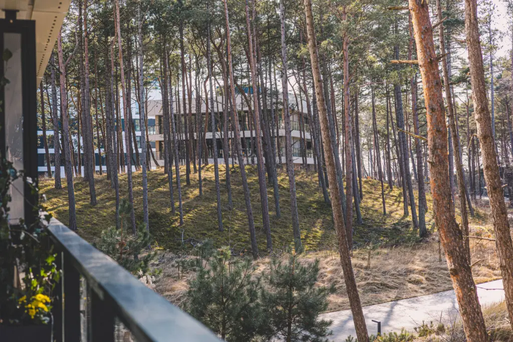 70594 496445 RLGS72FOovDUwDPiY98tUie193BPomEYexXAYI1RNLg 69b2c721bc395.jpg