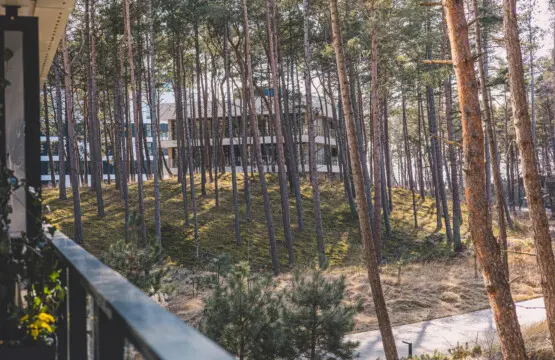 70594 496445 RLGS72FOovDUwDPiY98tUie193BPomEYexXAYI1RNLg 69b2c721bc395.jpg