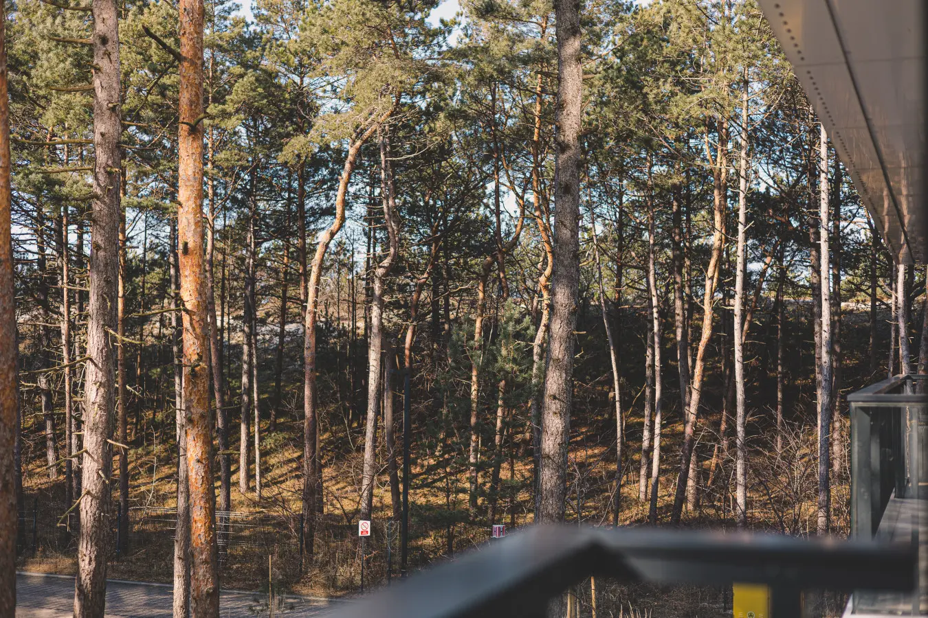 70594 496445 iBceMH09E09OKkyBuN2W usZCzl2CNjzegaT IbaFDg 69b2c73272d89.jpg