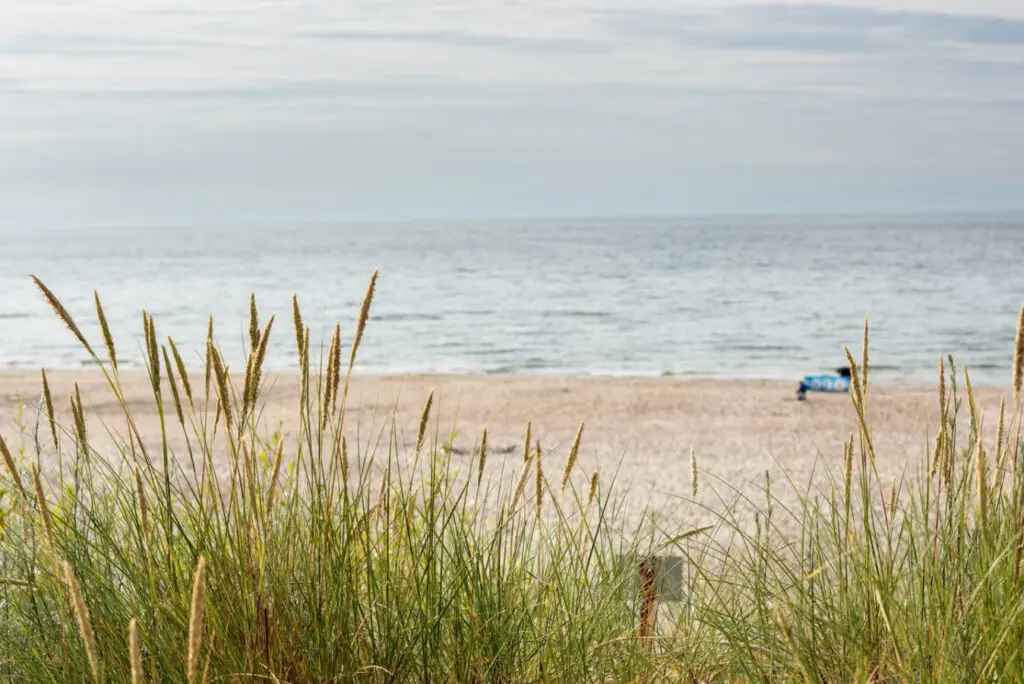 70594 497264 P4f7rF3eGCrBz7Ng8bsnkAb6S1V1nW3HR1LdhZcTADk 69b703f661636.jpg